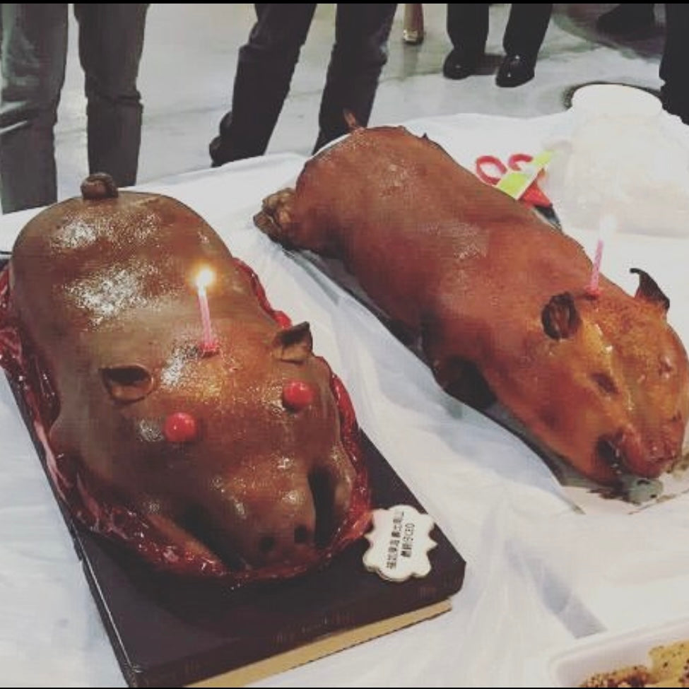 Suckling Pig Cake